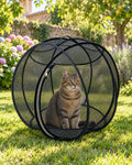 Tabby cat in the black Orbemi bubble on the lawn