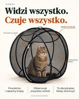 Orbemi