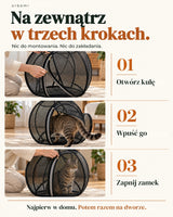 Orbemi