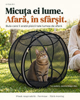 Orbemi