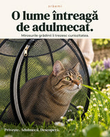 Orbemi