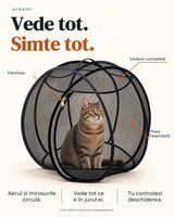 Orbemi