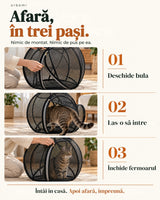Orbemi